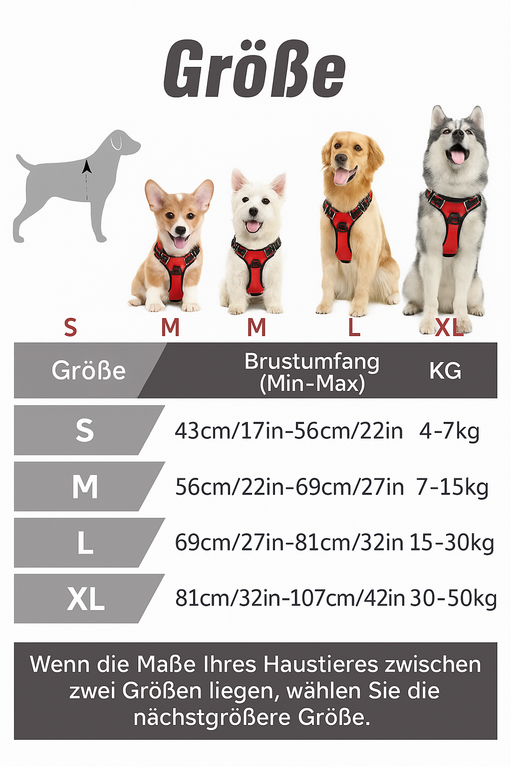 Stadtpfote Hundegeschirr: Stilvolles Design für urbane Entdecker