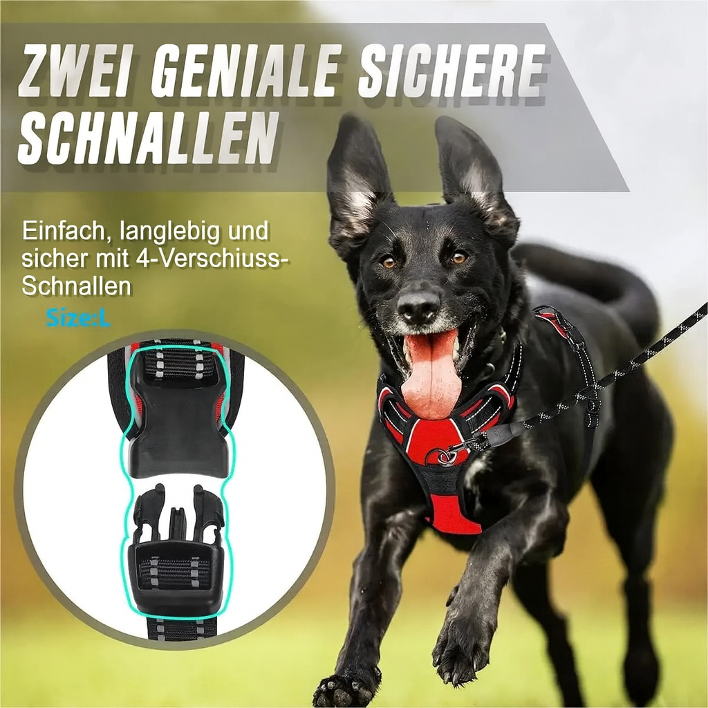 Stadtpfote Hundegeschirr: Stilvolles Design für urbane Entdecker
